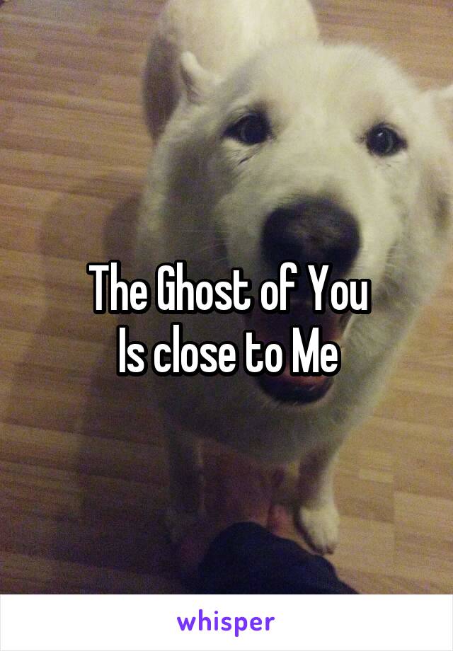 The Ghost of You
Is close to Me