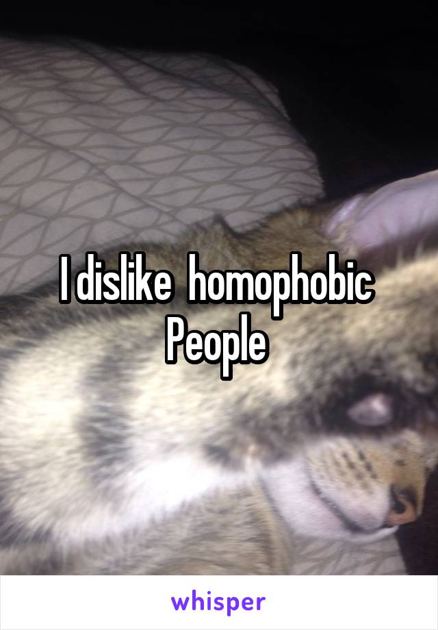 I dislike  homophobic 
People 