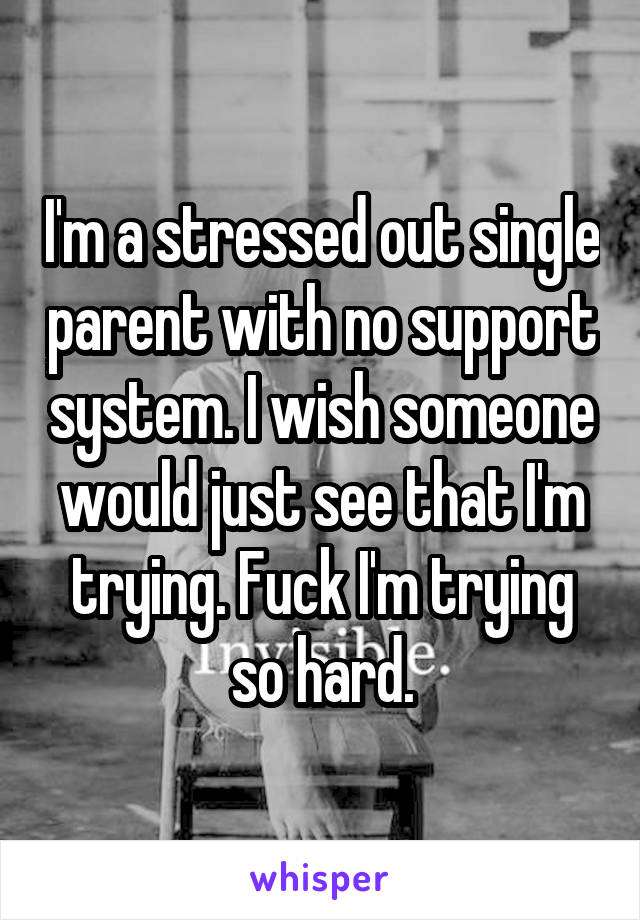 I'm a stressed out single parent with no support system. I wish someone would just see that I'm trying. Fuck I'm trying so hard.