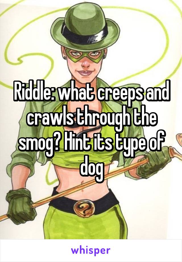 Riddle: what creeps and crawls through the smog? Hint its type of dog