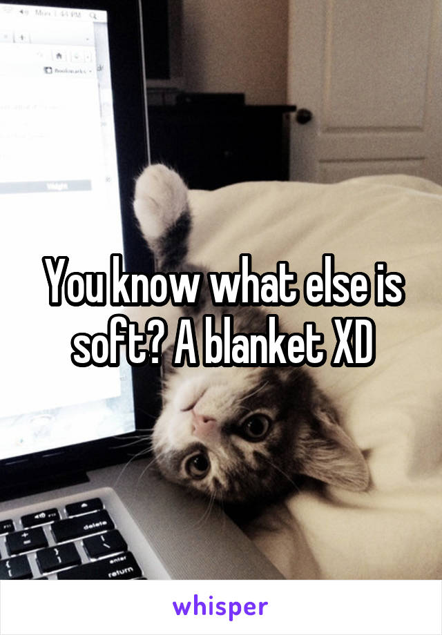 You know what else is soft? A blanket XD