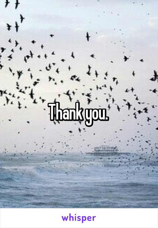 Thank you. 