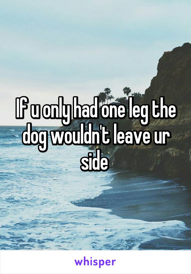 If u only had one leg the dog wouldn't leave ur side 