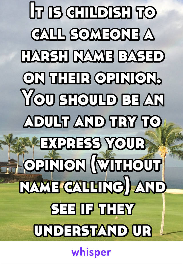 It is childish to call someone a harsh name based on their opinion. You should be an adult and try to express your opinion (without name calling) and see if they understand ur POV on the topic