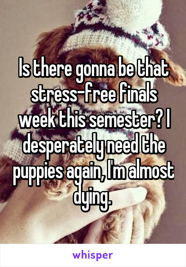 Is there gonna be that stress-free finals week this semester? I desperately need the puppies again, I'm almost dying. 