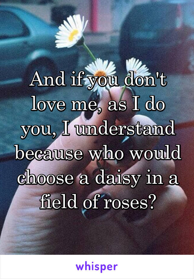 And if you don't love me, as I do you, I understand because who would choose a daisy in a field of roses?