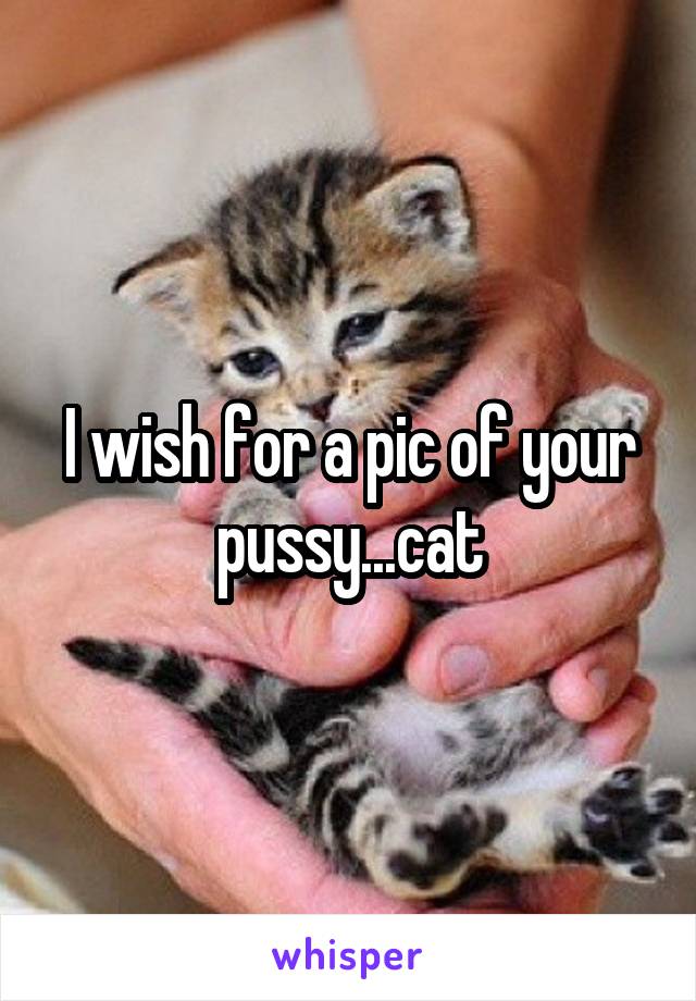 I wish for a pic of your pussy...cat