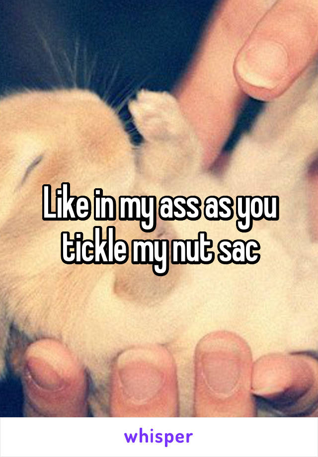 Like in my ass as you tickle my nut sac