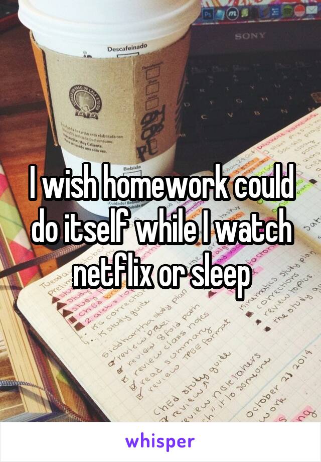 I wish homework could do itself while I watch netflix or sleep