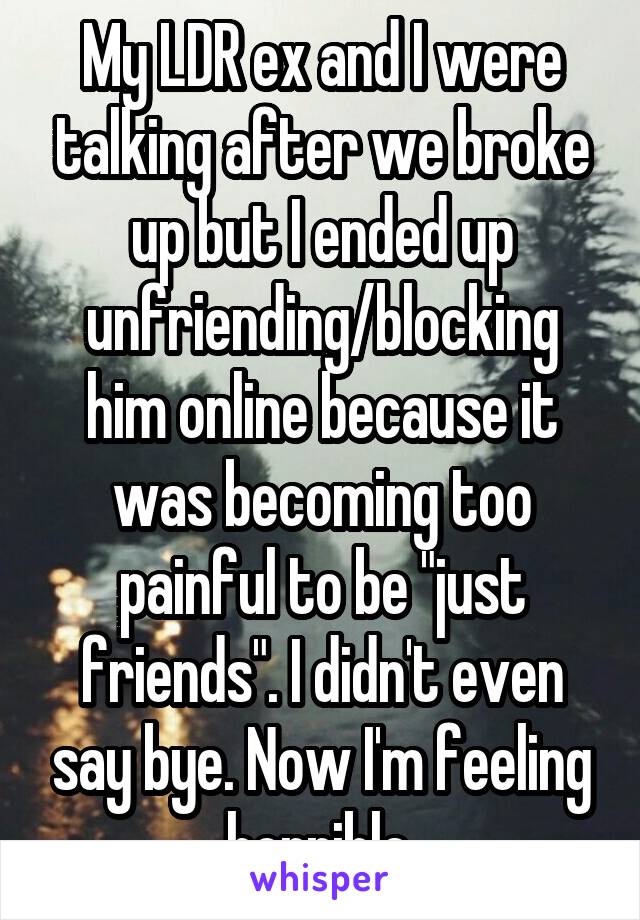 My LDR ex and I were talking after we broke up but I ended up unfriending/blocking him online because it was becoming too painful to be "just friends". I didn't even say bye. Now I'm feeling horrible.