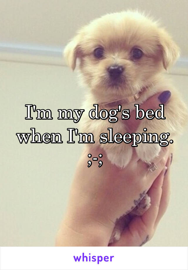 I'm my dog's bed when I'm sleeping. ;-;