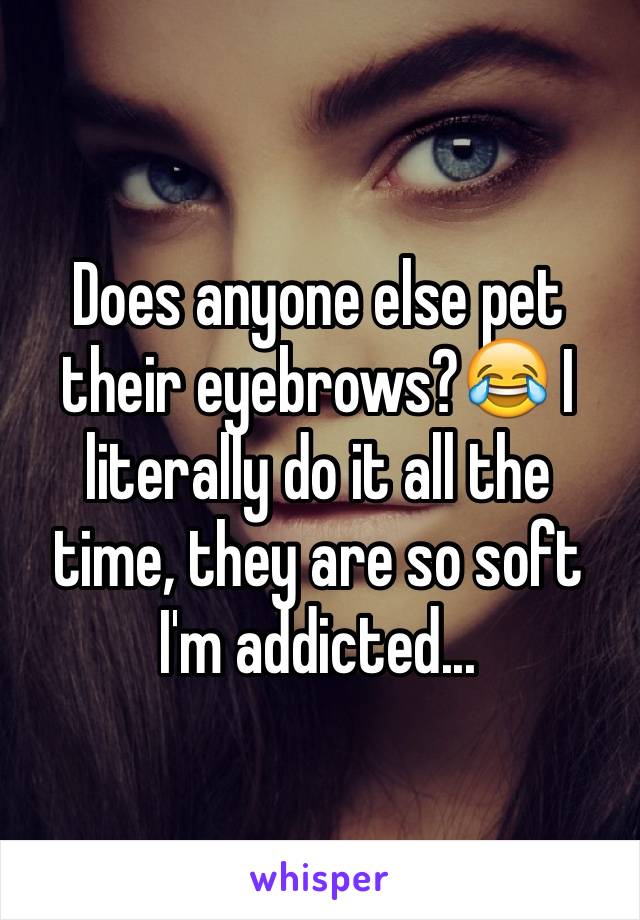 Does anyone else pet their eyebrows?😂 I literally do it all the time, they are so soft I'm addicted...