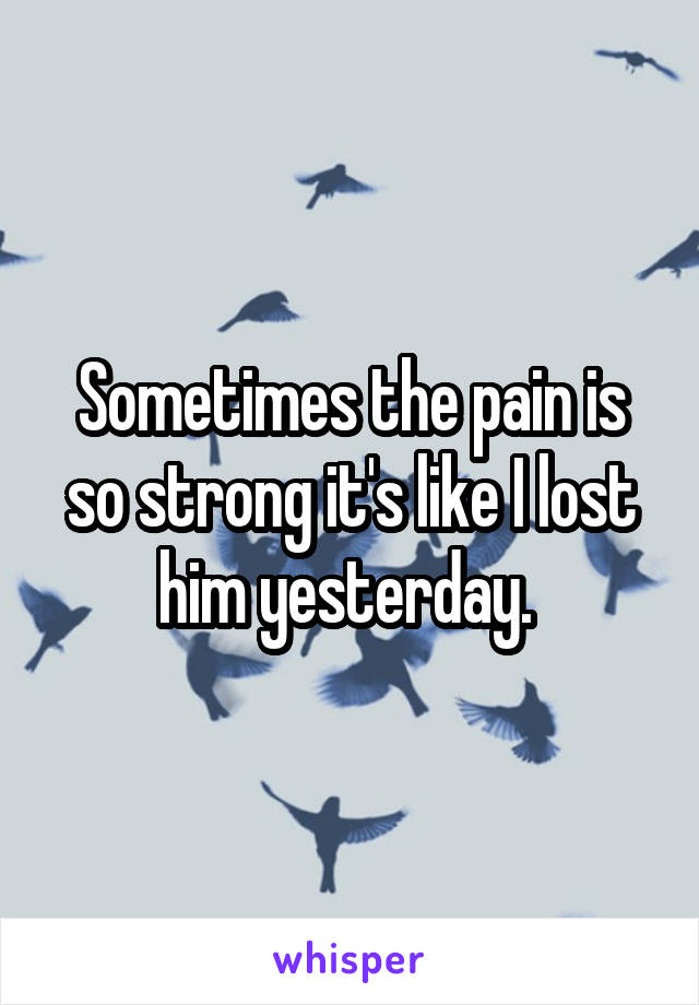 Sometimes the pain is so strong it's like I lost him yesterday. 