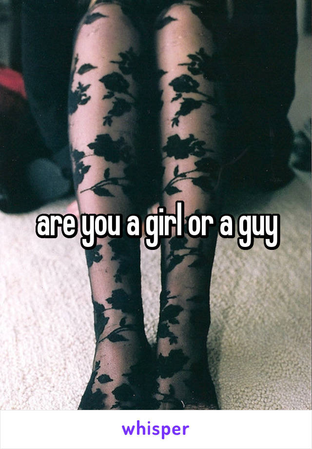 are you a girl or a guy