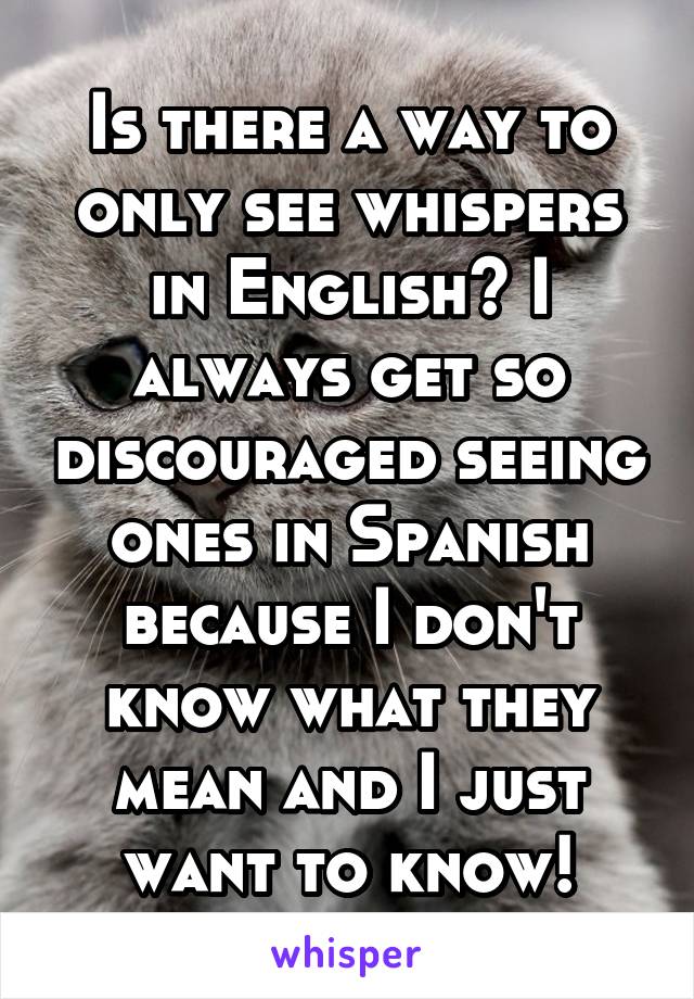 Is there a way to only see whispers in English? I always get so discouraged seeing ones in Spanish because I don't know what they mean and I just want to know!