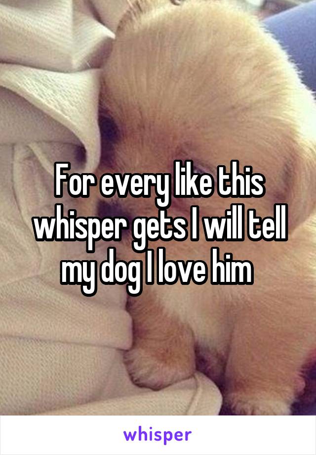 For every like this whisper gets I will tell my dog I love him 