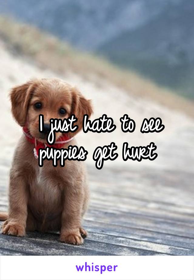 I just hate to see puppies get hurt 