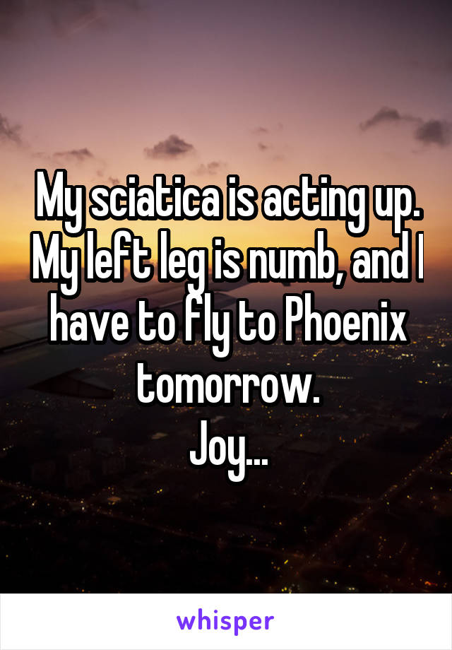 My sciatica is acting up. My left leg is numb, and I have to fly to Phoenix tomorrow.
Joy...