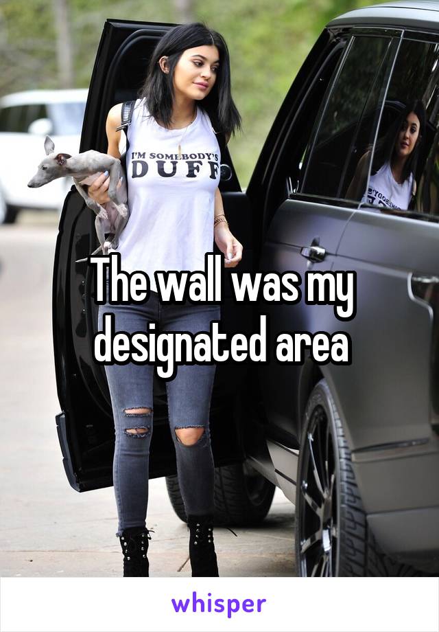 The wall was my designated area