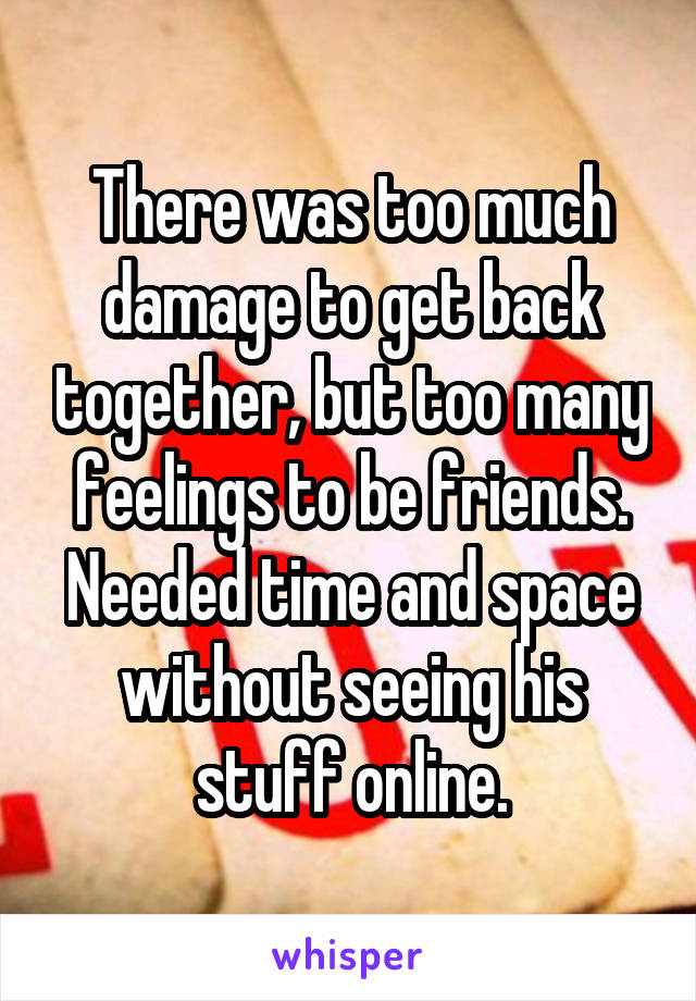 There was too much damage to get back together, but too many feelings to be friends. Needed time and space without seeing his stuff online.