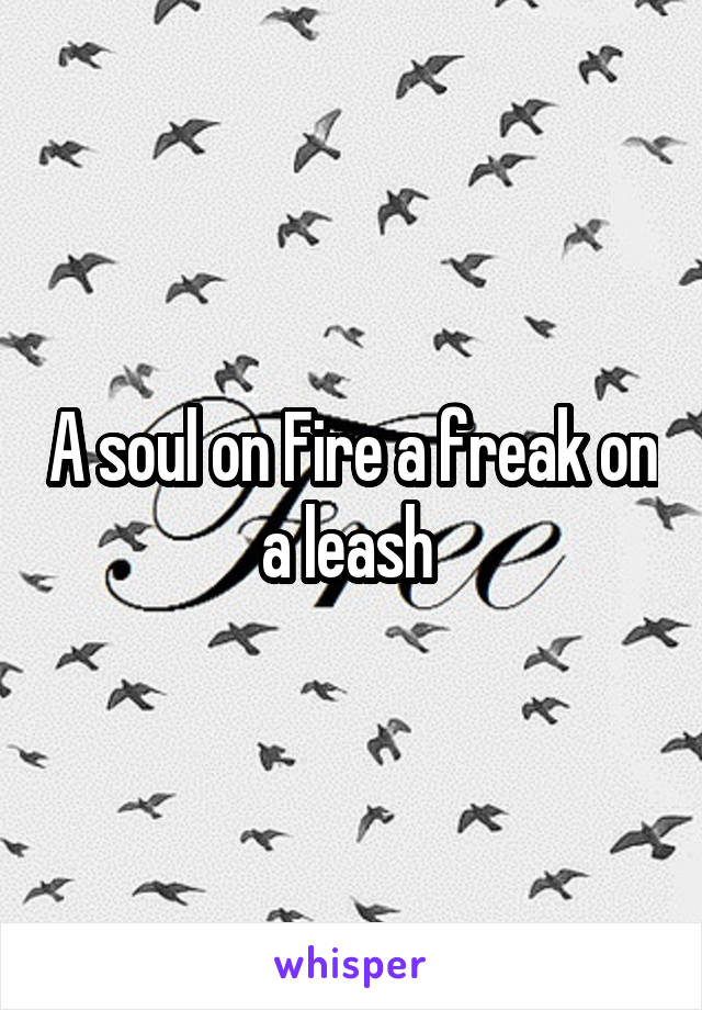 A soul on Fire a freak on a leash 