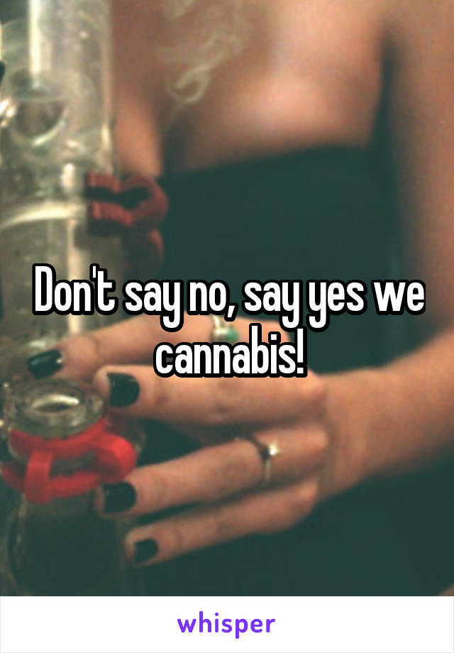 Don't say no, say yes we cannabis!