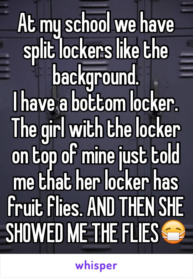 At my school we have split lockers like the background.
I have a bottom locker.
The girl with the locker on top of mine just told me that her locker has fruit flies. AND THEN SHE SHOWED ME THE FLIES😷