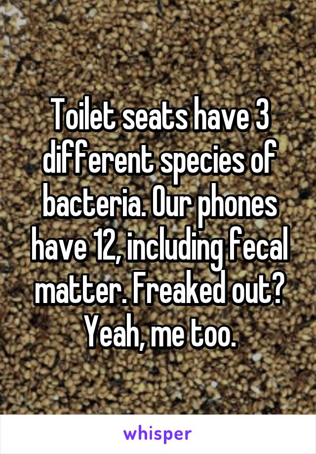 Toilet seats have 3 different species of bacteria. Our phones have 12, including fecal matter. Freaked out? Yeah, me too.