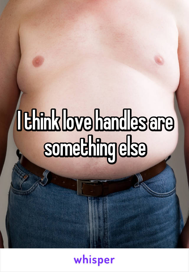 I think love handles are something else