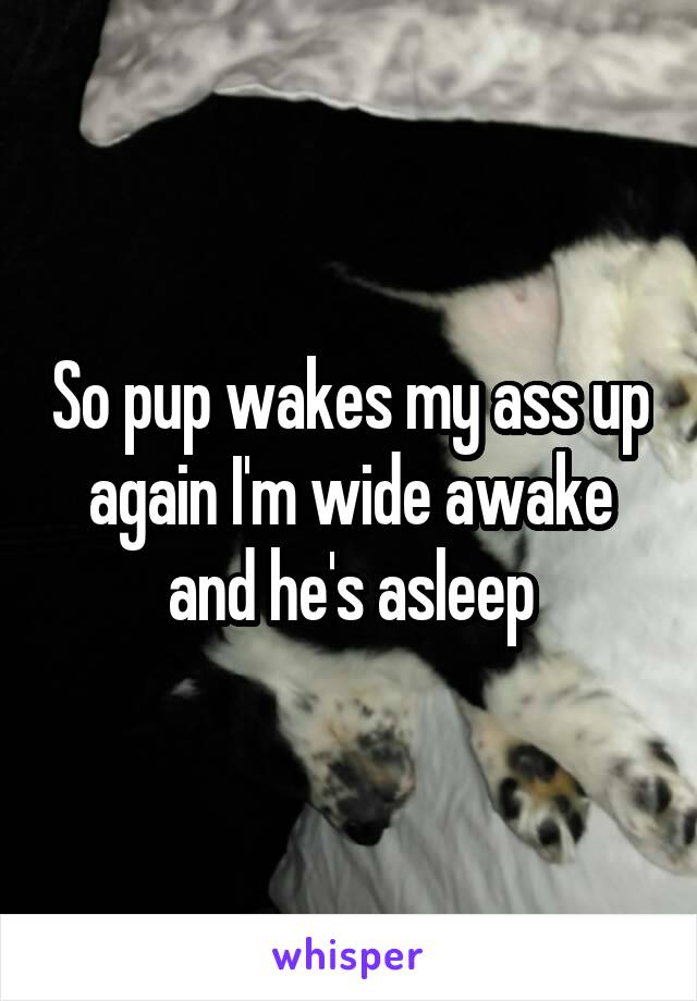 So pup wakes my ass up again I'm wide awake and he's asleep