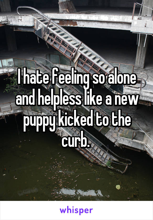 I hate feeling so alone and helpless like a new puppy kicked to the curb. 