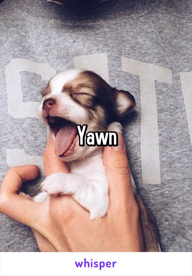 Yawn