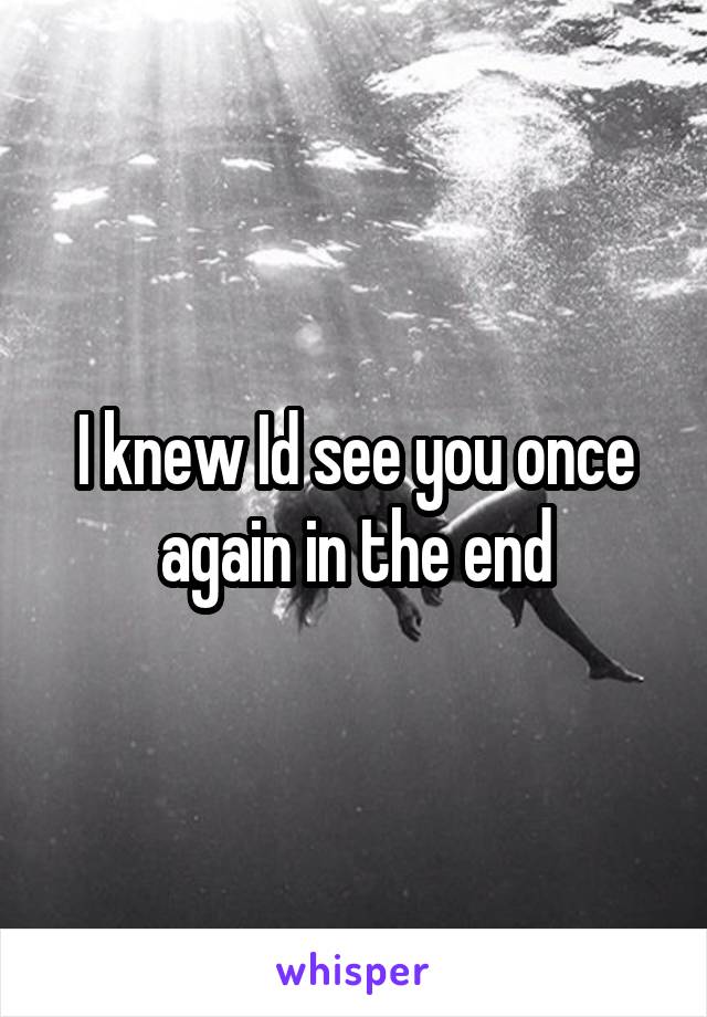 I knew Id see you once again in the end