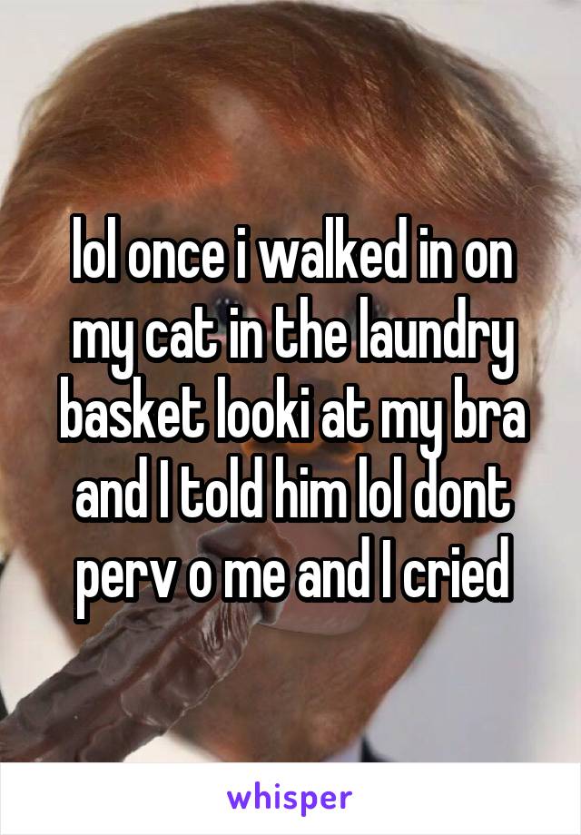 lol once i walked in on my cat in the laundry basket looki at my bra and I told him lol dont perv o me and I cried