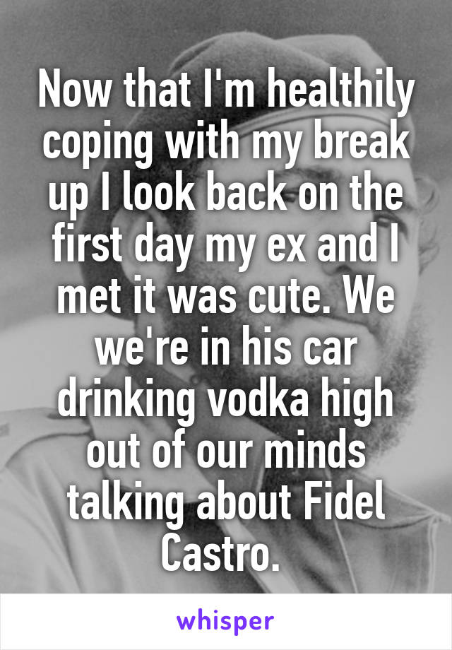 Now that I'm healthily coping with my break up I look back on the first day my ex and I met it was cute. We we're in his car drinking vodka high out of our minds talking about Fidel Castro. 