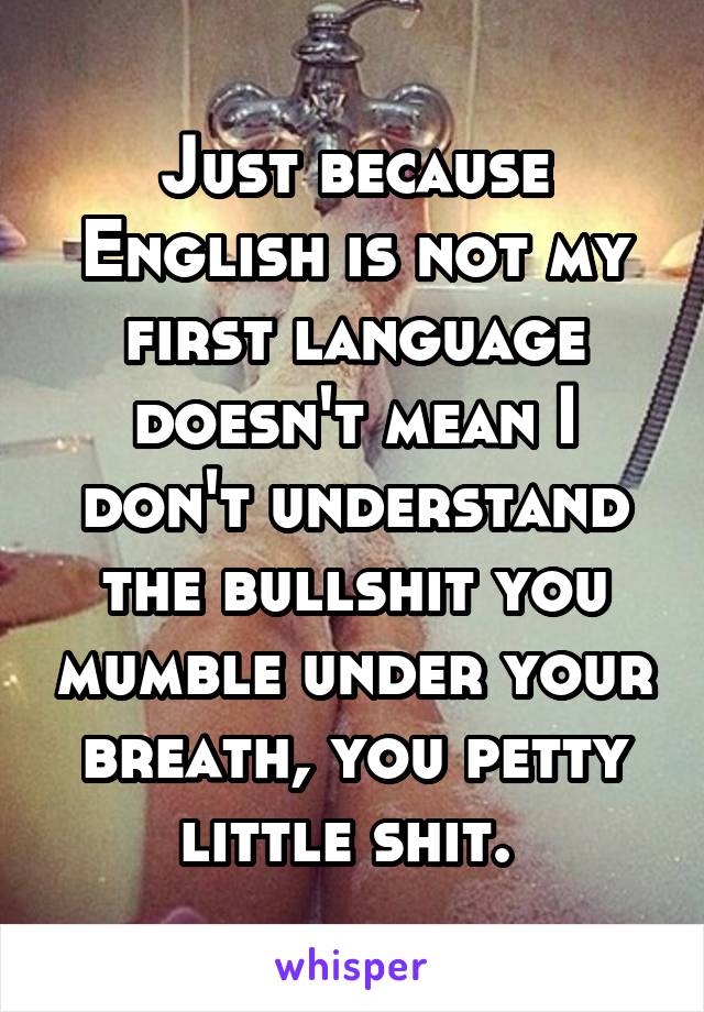 Just because English is not my first language doesn't mean I don't understand the bullshit you mumble under your breath, you petty little shit. 