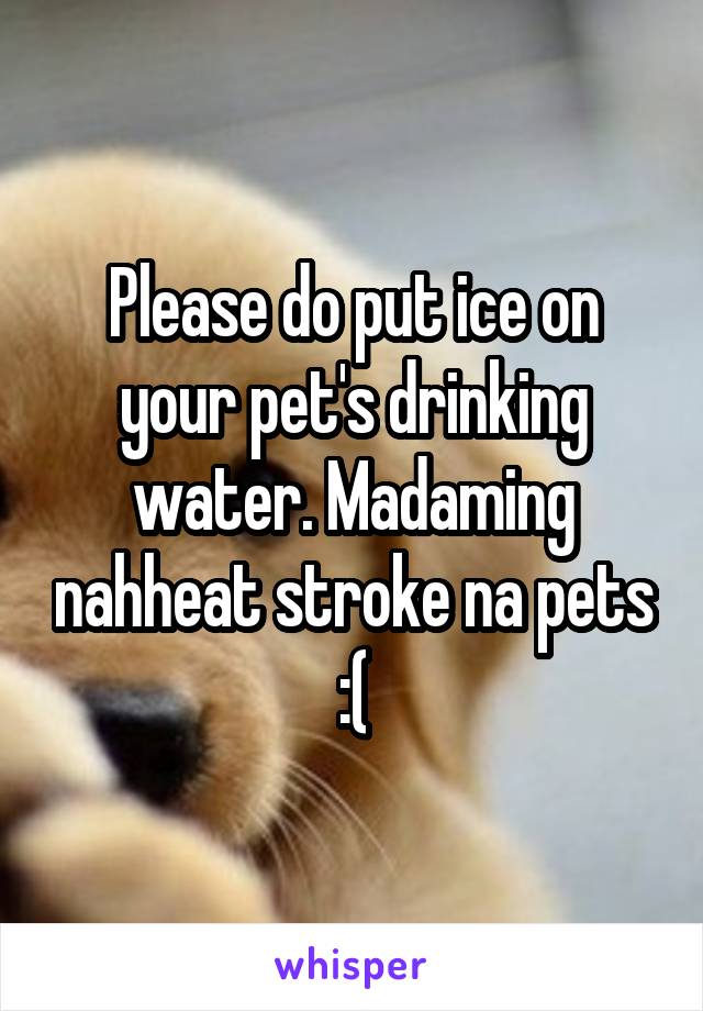 Please do put ice on your pet's drinking water. Madaming nahheat stroke na pets :(