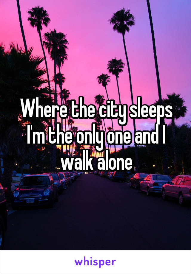 Where the city sleeps I'm the only one and I walk alone