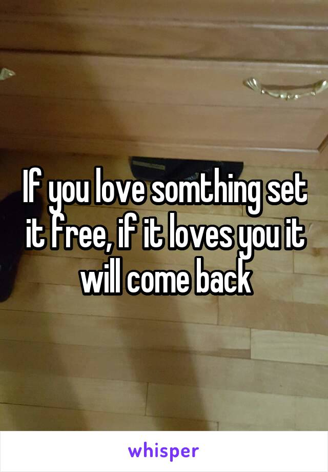 If you love somthing set it free, if it loves you it will come back