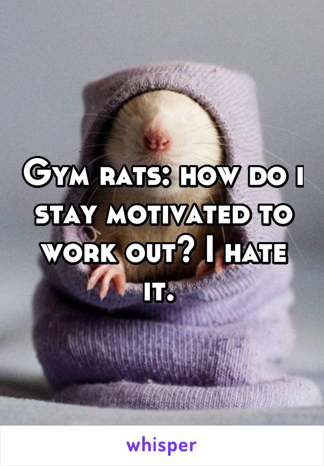 Gym rats: how do i stay motivated to work out? I hate it. 