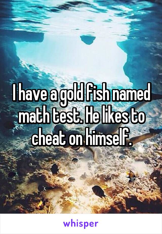 I have a gold fish named math test. He likes to cheat on himself.