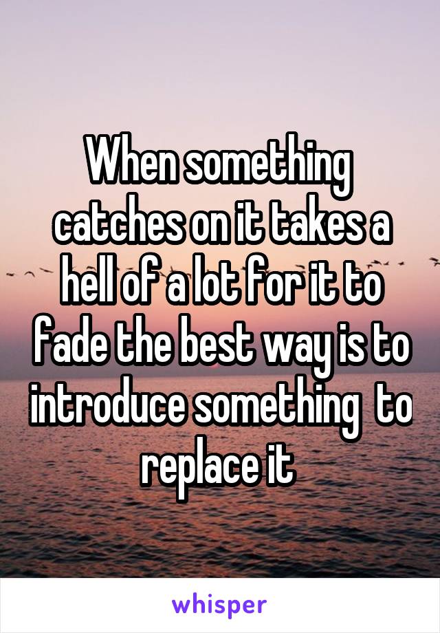 When something  catches on it takes a hell of a lot for it to fade the best way is to introduce something  to replace it 