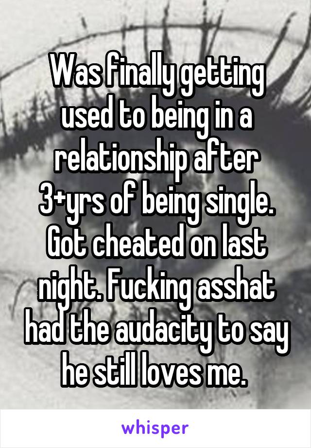 Was finally getting used to being in a relationship after 3+yrs of being single.
Got cheated on last night. Fucking asshat had the audacity to say he still loves me. 