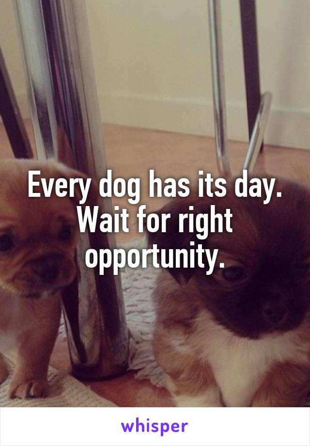 Every dog has its day. Wait for right opportunity.