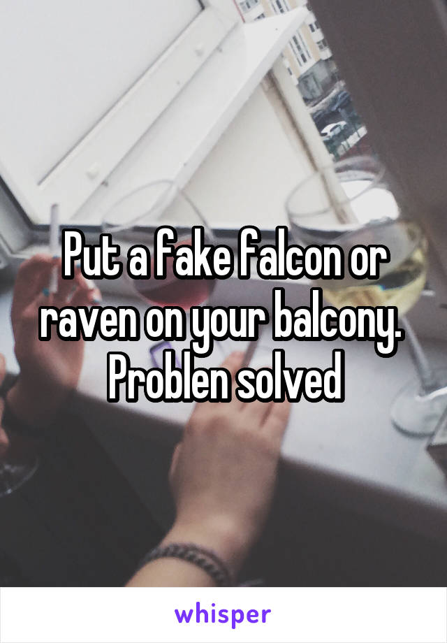 Put a fake falcon or raven on your balcony. 
Problen solved