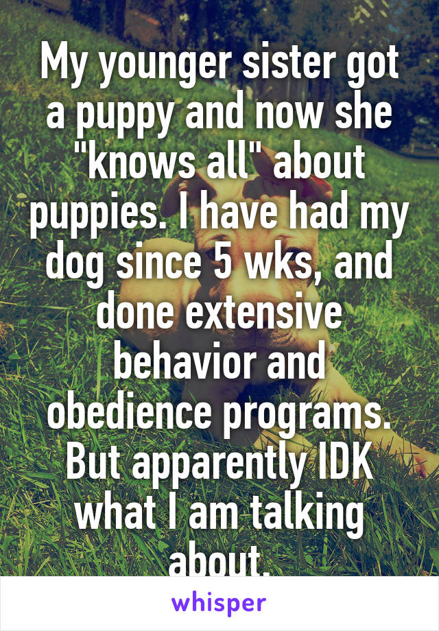 My younger sister got a puppy and now she "knows all" about puppies. I have had my dog since 5 wks, and done extensive behavior and obedience programs. But apparently IDK what I am talking about.