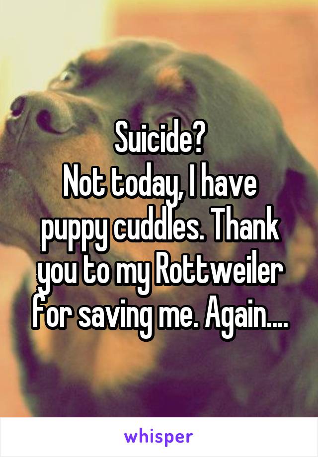 Suicide?
Not today, I have puppy cuddles. Thank you to my Rottweiler for saving me. Again....