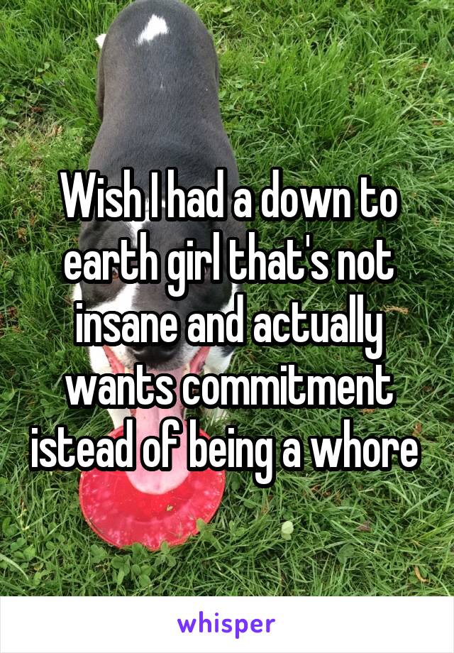 Wish I had a down to earth girl that's not insane and actually wants commitment istead of being a whore 