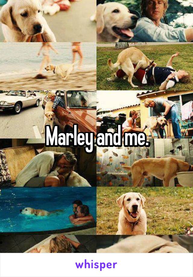 Marley and me.