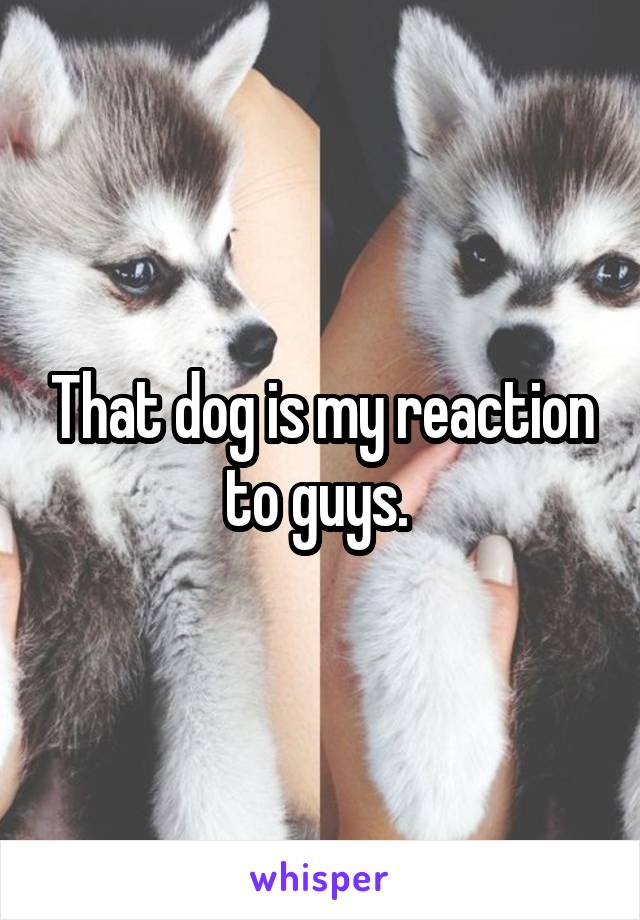 That dog is my reaction to guys. 